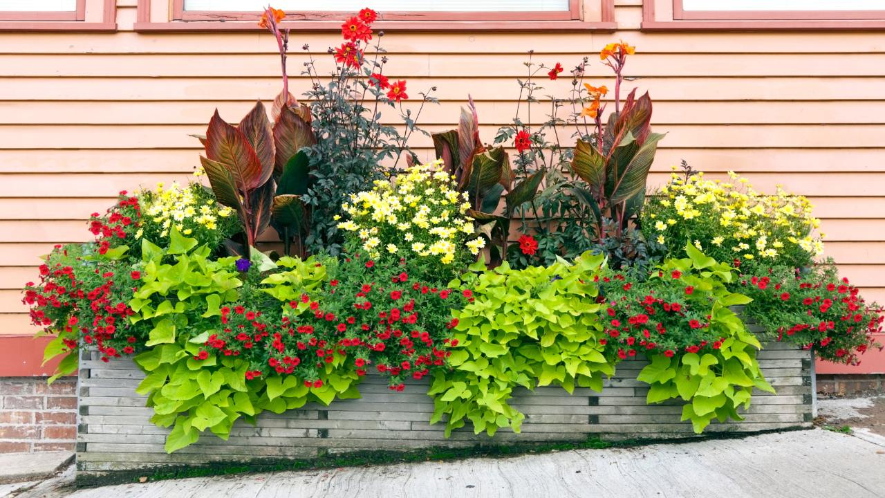 Outdoor Steel Planter Box